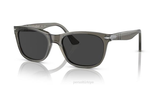 Persol hotsell 2953 sunglasses